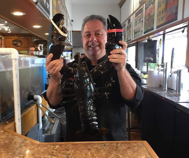 《高齡132歲的龍蝦》長壽蝦瑞被野放回海中還能順利生存嗎...? 《高齡132歲的龍蝦》長壽蝦瑞被野放回海中還能順利生存嗎...?