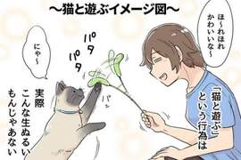 《其實跟貓玩耍會很累》網友用四格漫畫表現出當中的辛酸QQ 《其實跟貓玩耍會很累》網友用四格漫畫表現出當中的辛酸QQ