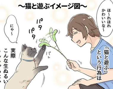 《其實跟貓玩耍會很累》網友用四格漫畫表現出當中的辛酸QQ 《其實跟貓玩耍會很累》網友用四格漫畫表現出當中的辛酸QQ