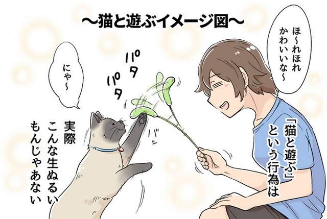 《其實跟貓玩耍會很累》網友用四格漫畫表現出當中的辛酸QQ