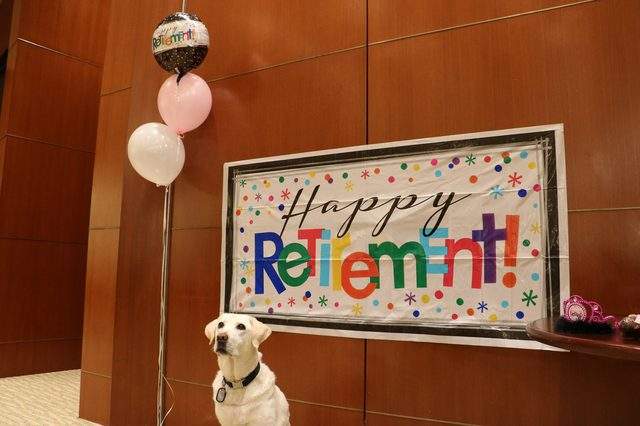 說好不哭的《警犬退休儀式》但狗狗的眼裡只有這根....