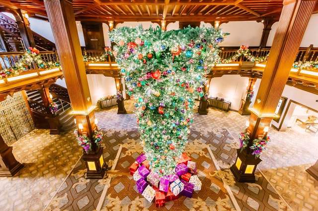 《顛倒聖誕樹》大流行　沒想到倒掛聖誕樹還有這些意外的好處