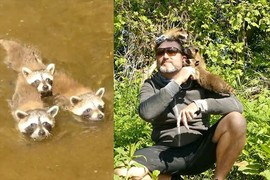 《小浣熊來襲》被三隻小浣熊包圍的大叔...真的不是釣魚的時候了ww 《小浣熊來襲》被三隻小浣熊包圍的大叔...真的不是釣魚的時候了ww