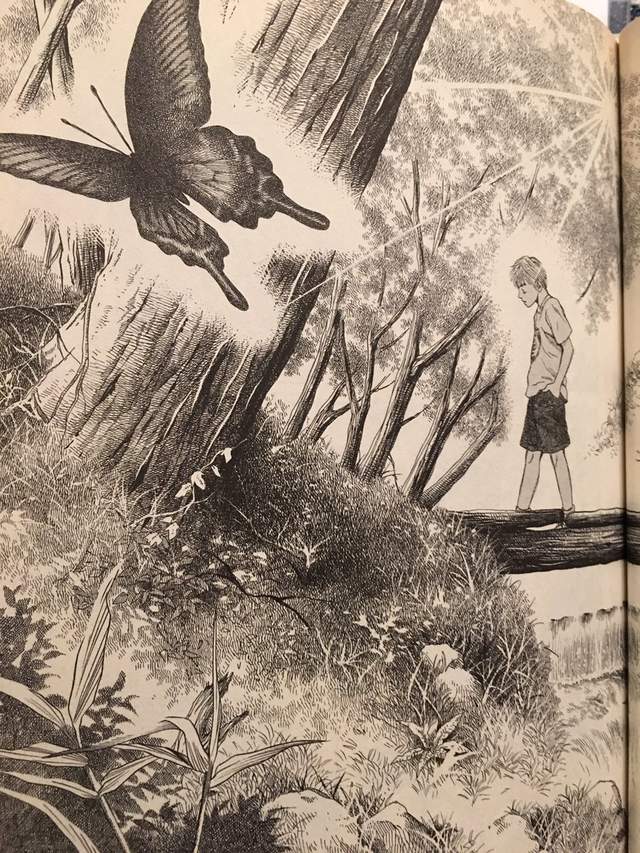 漫畫家《きたがわ翔》手繪效果線交織出栩栩如生的美麗畫作 漫畫家《きたがわ翔》手繪效果線交織出栩栩如生的美麗畫作