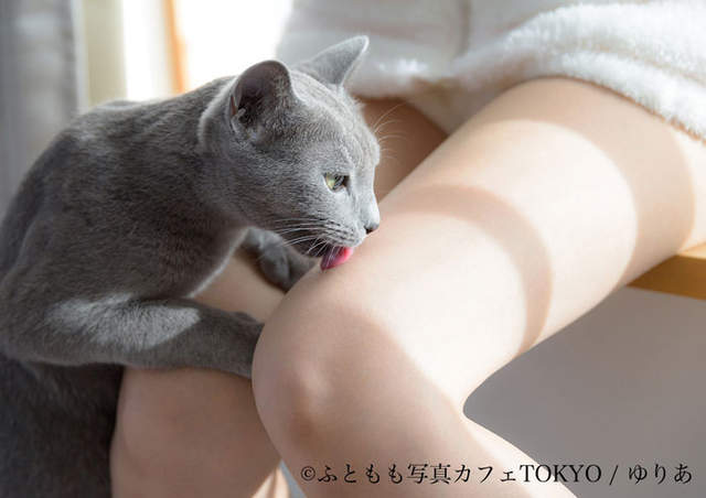 《大腿寫真咖啡廳》店內從裝潢到餐點全部都是滿滿的大腿❤ 《大腿寫真咖啡廳》店內從裝潢到餐點全部都是滿滿的大腿❤