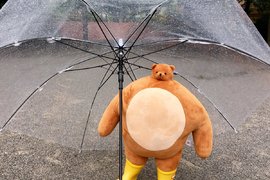 小頭動物布偶《Tiny Headed Kingdom》不成比例的小小頭魅力 小頭動物布偶《Tiny Headed Kingdom》不成比例的小小頭魅力