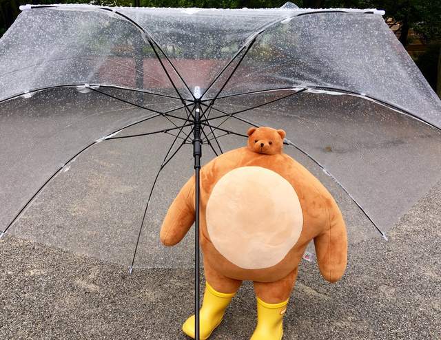 小頭動物布偶《Tiny Headed Kingdom》不成比例的小小頭魅力