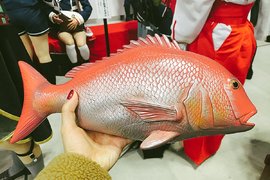 《鉛筆盒都不務正業》你以為是魚嗎?不,是筆袋 你以為是水壺嗎?不,是筆筒 《鉛筆盒都不務正業》你以為是魚嗎?不,是筆袋 你以為是水壺嗎?不,是筆筒