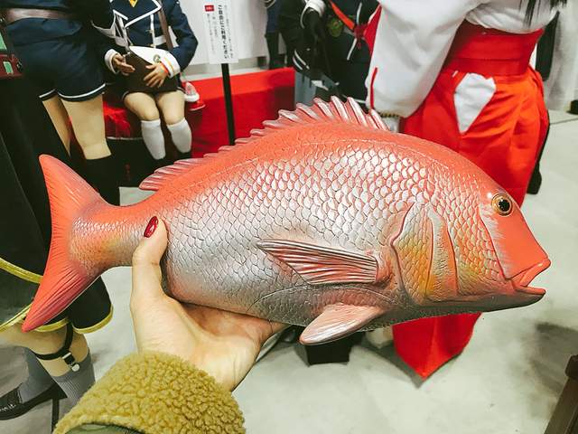 《鉛筆盒都不務正業》你以為是魚嗎?不,是筆袋 你以為是水壺嗎?不,是筆筒 《鉛筆盒都不務正業》你以為是魚嗎?不,是筆袋 你以為是水壺嗎?不,是筆筒