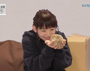 聲優南條愛乃《把玩刺蝟賣萌全記錄》33歲的少女到底是…… 聲優南條愛乃《把玩刺蝟賣萌全記錄》33歲的少女到底是……