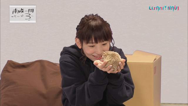 聲優南條愛乃《把玩刺蝟賣萌全記錄》33歲的少女到底是…… 聲優南條愛乃《把玩刺蝟賣萌全記錄》33歲的少女到底是……