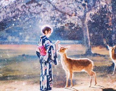 《鏡頭下的日本櫻花美景》美的想讓人馬上飛過去玩 《鏡頭下的日本櫻花美景》美的想讓人馬上飛過去玩