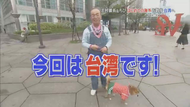祕密攝影揭曉《志村健與Chibi遊台灣》狗狗不怕臭豆腐園長卻很怕……