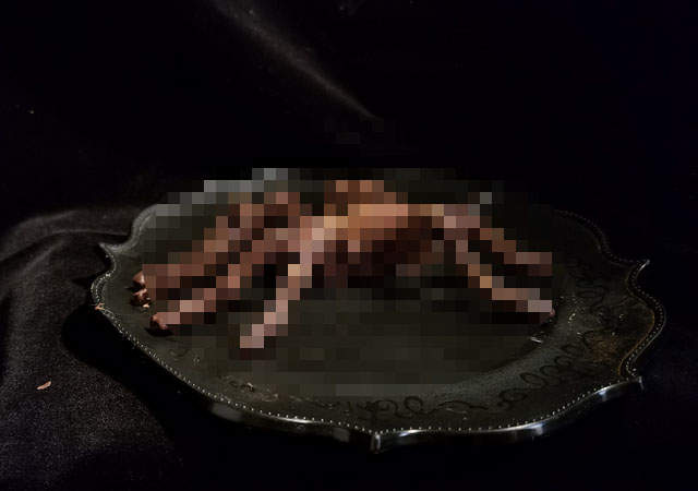 情人節送《蜘蛛巧克力》攻略生物系(?)女子可說正中紅心 情人節送《蜘蛛巧克力》攻略生物系(?)女子可說正中紅心