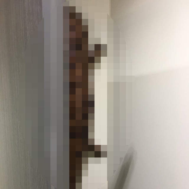 失禁注意《水族館廁所出現驚人生物》關門想不被嚇到都很難啊... 失禁注意《水族館廁所出現驚人生物》關門想不被嚇到都很難啊...