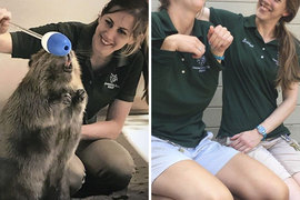 《當動物園管理員沒事做的時候》真的只有動物園才玩得起欸www 《當動物園管理員沒事做的時候》真的只有動物園才玩得起欸www