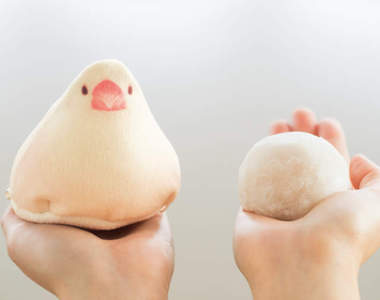 鳥奴必見《文鳥收納袋》完全再現肚子貼地的大福狀態(圓) 鳥奴必見《文鳥收納袋》完全再現肚子貼地的大福狀態(圓)