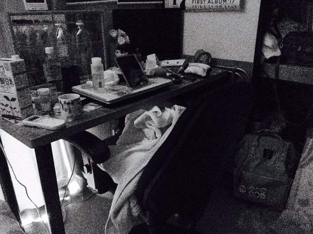 《懶人斷捨離空間整理法》首先在腦內想清楚布置規劃吧✧ 《懶人斷捨離空間整理法》首先在腦內想清楚布置規劃吧✧