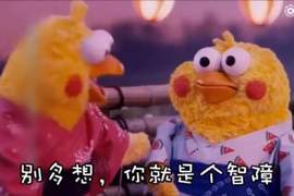 難過的時候需要《鸚鵡兄弟》給你滿滿的負能量 難過的時候需要《鸚鵡兄弟》給你滿滿的負能量