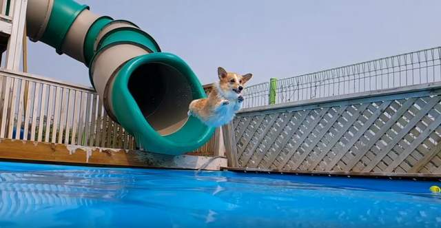 短腿也可以玩《市中心蓋出300公尺超長滑水道》你敢挑戰嗎