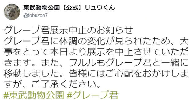 動物朋友粉絲齊哀悼《老爺爺企鵝GRAPE君過世》願另一個世界有女神相伴…… - 圖片3