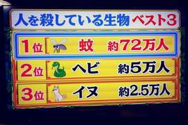 《日本迫切的十大危險》各種隱藏在生活中影響健康或高致死率的現象 《日本迫切的十大危險》各種隱藏在生活中影響健康或高致死率的現象