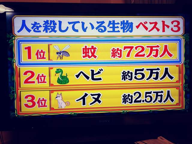 《日本迫切的十大危險》各種隱藏在生活中影響健康或高致死率的現象 《日本迫切的十大危險》各種隱藏在生活中影響健康或高致死率的現象