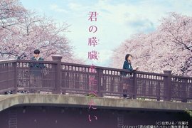 《我想吃掉你的胰臟》小栗旬×北川景子大螢幕初合演 《我想吃掉你的胰臟》小栗旬×北川景子大螢幕初合演