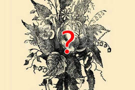 眼盲訓練?《大家來找碴》你能從畫面中找到幾張人臉 眼盲訓練?《大家來找碴》你能從畫面中找到幾張人臉