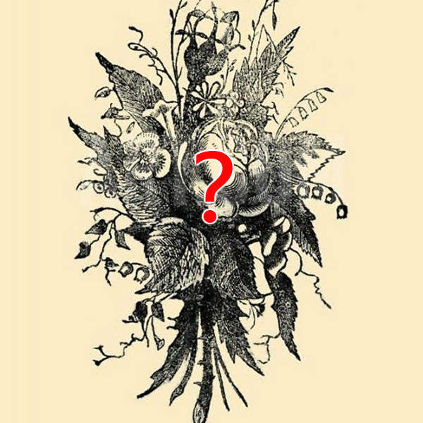 眼盲訓練？《大家來找碴》你能從畫面中找到幾張人臉