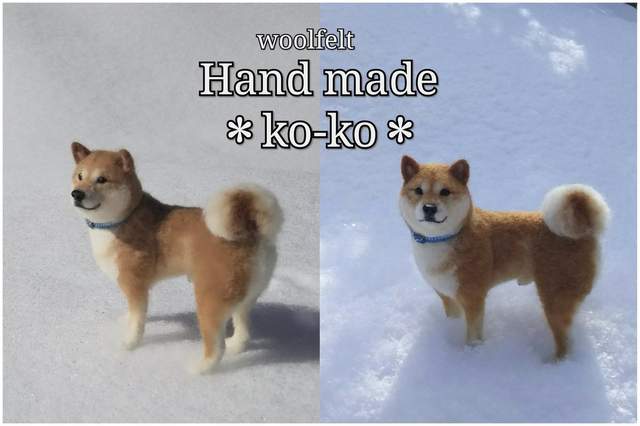 《羊毛氈柴犬》這逼真的程度 真的會懷疑難道不是活的嗎? 《羊毛氈柴犬》這逼真的程度 真的會懷疑難道不是活的嗎?