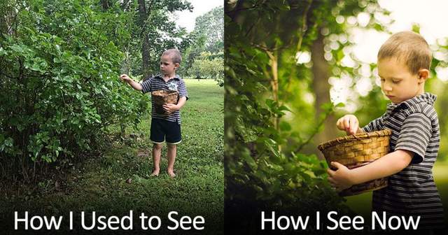 《攝影師與一般人鏡頭中的世界》看到的東西好不一樣啊~不是鏡頭的價格唷XD 《攝影師與一般人鏡頭中的世界》看到的東西好不一樣啊~不是鏡頭的價格唷XD