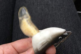 《魚卵扭蛋完全擠出的結果》小小身軀裡沒想到竟藏著如此出色的......ww 《魚卵扭蛋完全擠出的結果》小小身軀裡沒想到竟藏著如此出色的......ww