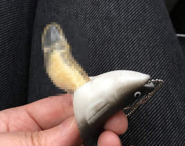 《魚卵扭蛋完全擠出的結果》小小身軀裡沒想到竟藏著如此出色的......ww 《魚卵扭蛋完全擠出的結果》小小身軀裡沒想到竟藏著如此出色的......ww