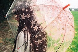 少女心《櫻花透明傘》撐個傘都要這麼詩情畫意嗎?可是我喜歡 少女心《櫻花透明傘》撐個傘都要這麼詩情畫意嗎?可是我喜歡