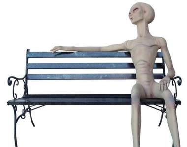 《等身大外星人拍賣》亞馬遜賣場上的怪奇商品 《等身大外星人拍賣》亞馬遜賣場上的怪奇商品
