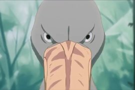 動畫界傳說《出現鯨頭鸛的動畫就是神作》請先解釋這到底是什麼動物…… 動畫界傳說《出現鯨頭鸛的動畫就是神作》請先解釋這到底是什麼動物……