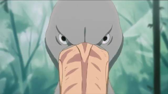 動畫界傳說《出現鯨頭鸛的動畫就是神作》請先解釋這到底是什麼動物……