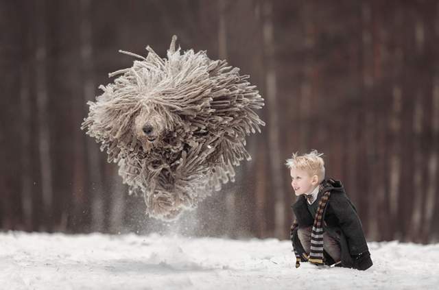 《男孩與他的拖把狗》根本訓練師與寶可夢吧？