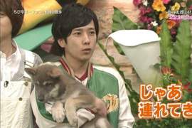 《可愛犬系男星》網友心目中比柴柴二宮更有狗狗感覺的男星是...... 《可愛犬系男星》網友心目中比柴柴二宮更有狗狗感覺的男星是......