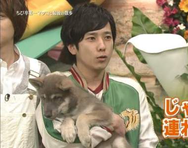 《可愛犬系男星》網友心目中比柴柴二宮更有狗狗感覺的男星是...... 《可愛犬系男星》網友心目中比柴柴二宮更有狗狗感覺的男星是......