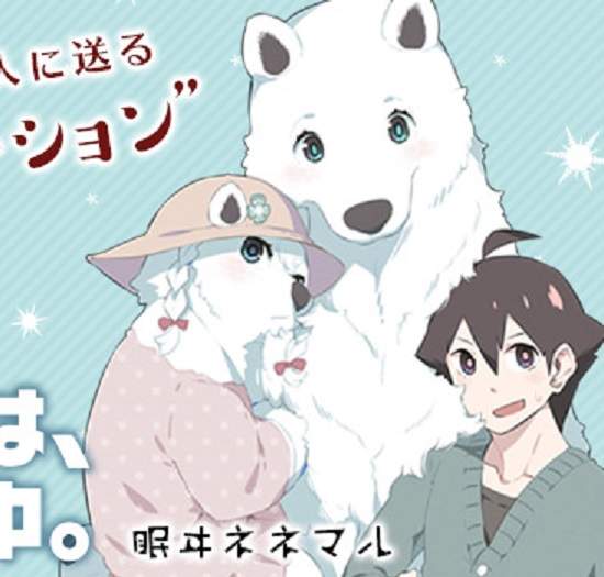 《24小時白熊莊》白熊馬麻溫暖的胸懷可以包容一切悲傷 《24小時白熊莊》白熊馬麻溫暖的胸懷可以包容一切悲傷