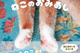 《貓後腳寫真集》繼貓手手之後又一特寫喵部位的毛呼呼寫真集 《貓後腳寫真集》繼貓手手之後又一特寫喵部位的毛呼呼寫真集