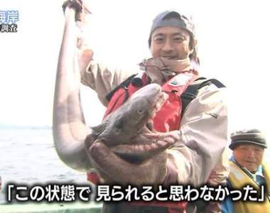 《TOKIO捕獲活化石.皺鰓鯊》意外連結哥吉拉上陸東京灣的理由ww 《TOKIO捕獲活化石.皺鰓鯊》意外連結哥吉拉上陸東京灣的理由ww