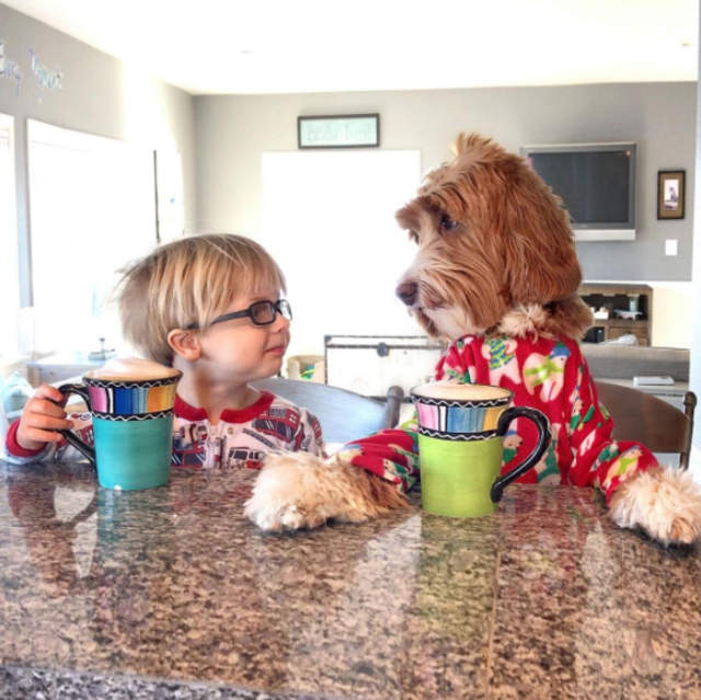《被領養的小男孩與狗狗》在新家庭裡成為最要好的手足