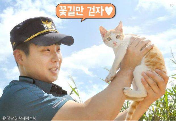 《警察救出困在下水道的貓並領養》收編原因讓人超鼻酸QQ 《警察救出困在下水道的貓並領養》收編原因讓人超鼻酸QQ