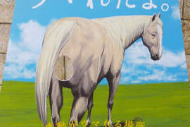 《高難度拍照看板》到底該用什麼表情把臉放進屁眼裡ww(喂) 《高難度拍照看板》到底該用什麼表情把臉放進屁眼裡ww(喂)