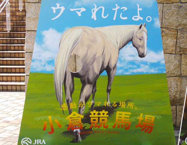 《高難度拍照看板》到底該用什麼表情把臉放進屁眼裡ww（喂）