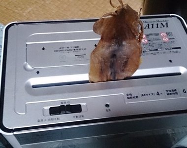 《碎紙機絞碎魷魚乾好好吃》雖然很想說不要玩食物..但海苔放進碎紙機好像很方便(咦) 《碎紙機絞碎魷魚乾好好吃》雖然很想說不要玩食物..但海苔放進碎紙機好像很方便(咦)