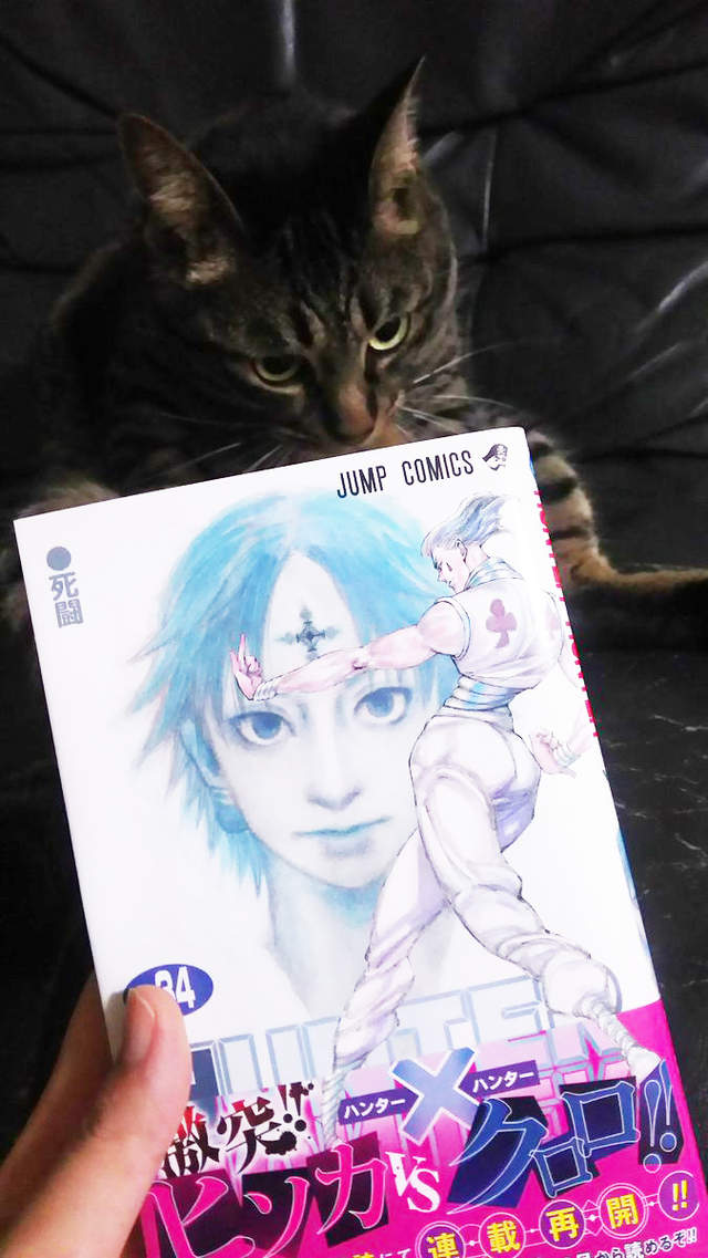 《獵人最強角色20選》隨著連載再開粉絲們又來投票啦 《獵人最強角色20選》隨著連載再開粉絲們又來投票啦